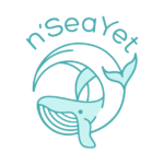 logo_nseajjet